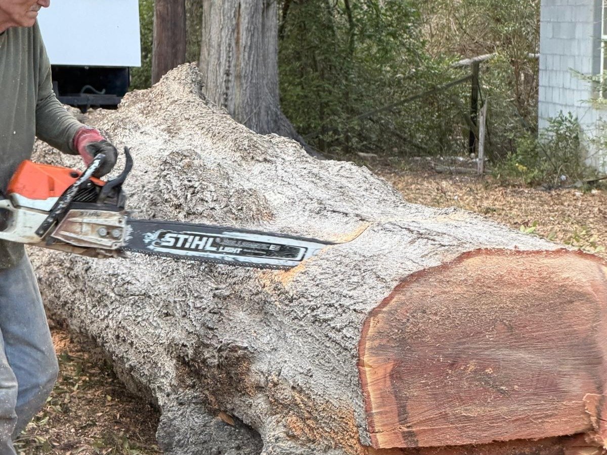 El Costeño Tree Service LLC